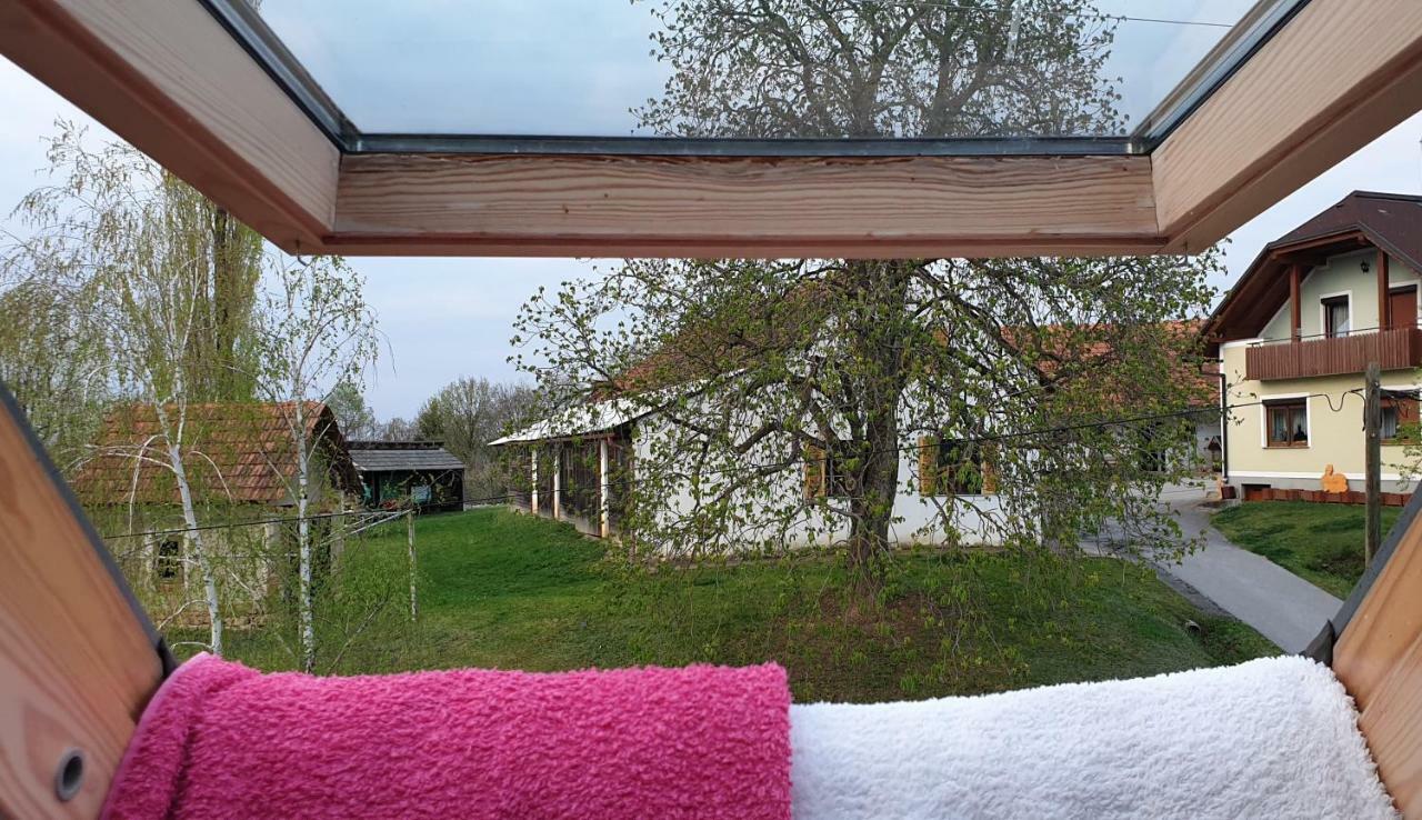 Beautiful House Surrounded By Pure Nature Rogasovci Exterior photo